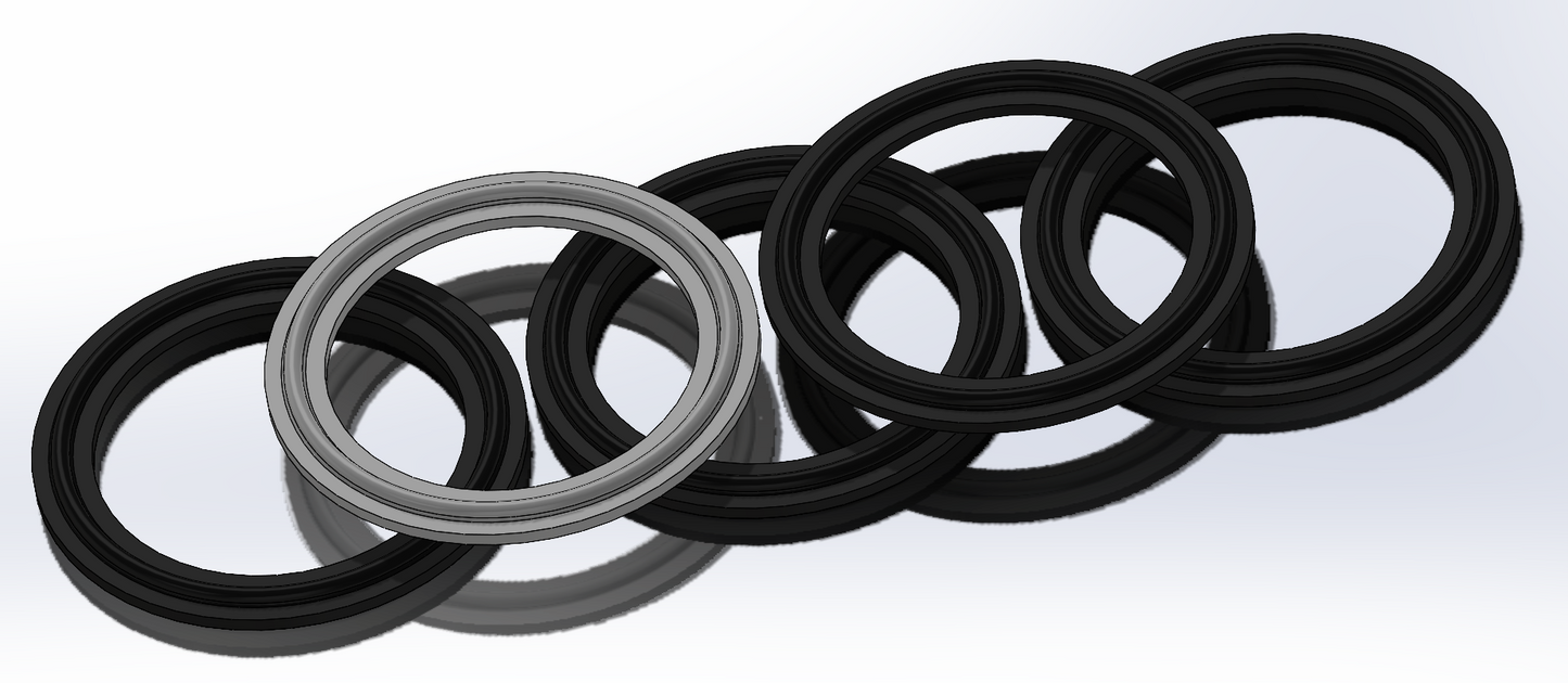 Sanitary Gasket